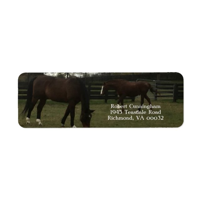 Horses Return Address Labels (Front)