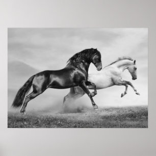Horses Run Poster