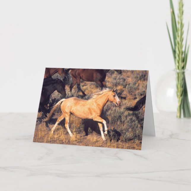 Horses Running a Ponderosa Ranch Card (Front)