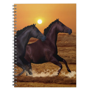 Horses running at ocean sunset notebook