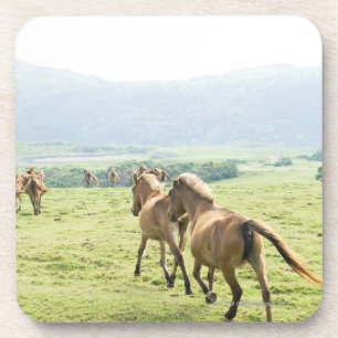 Horses running coaster