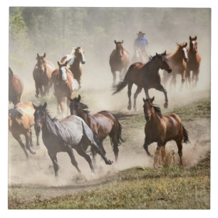 Horses running during roundup, Montana Ceramic Tile