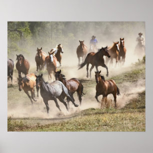 Horses running during roundup, Montana Poster