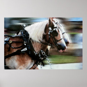 Horses running horse drawn carriage poster photo