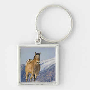 Horses Running in Snow Key Ring