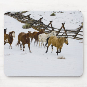 Horses Running in Snow Mouse Pad