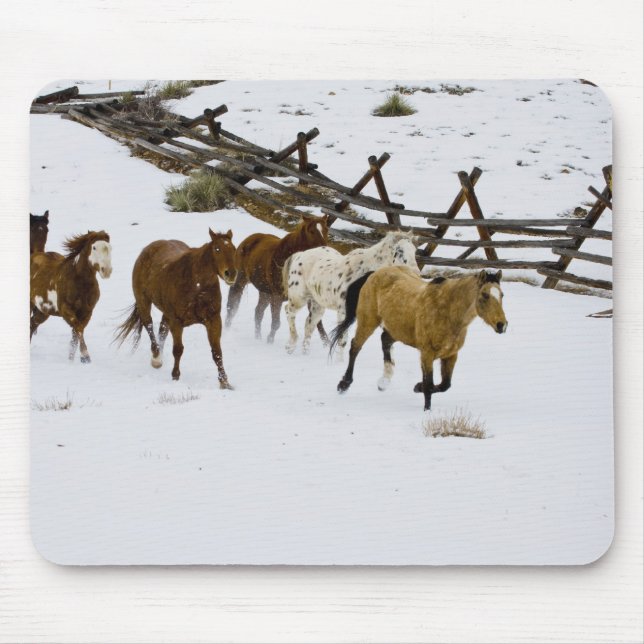 Horses Running in Snow Mouse Pad (Front)