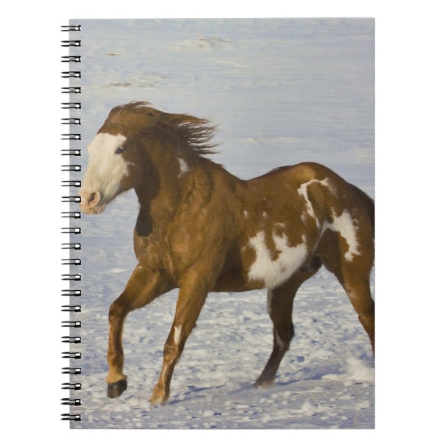 Horses Running in Snow Notebook (Front)
