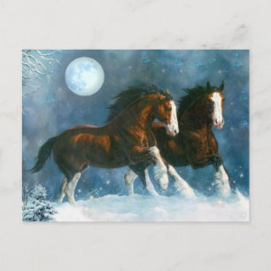 Horses Running In The Snow Postcard