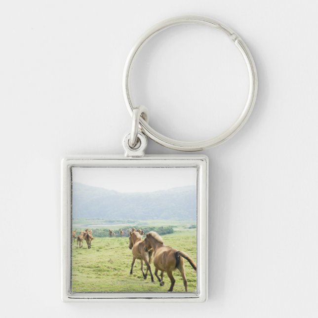 Horses running key ring (Front)