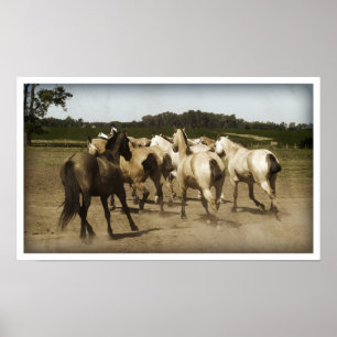 Horses Running Poster