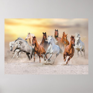 Horses Running Poster