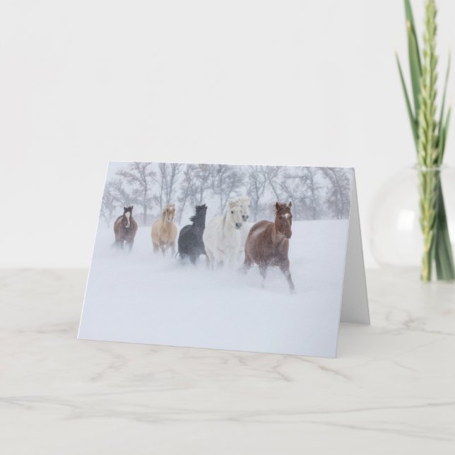 Horses Running Through the Snow Card (Front)