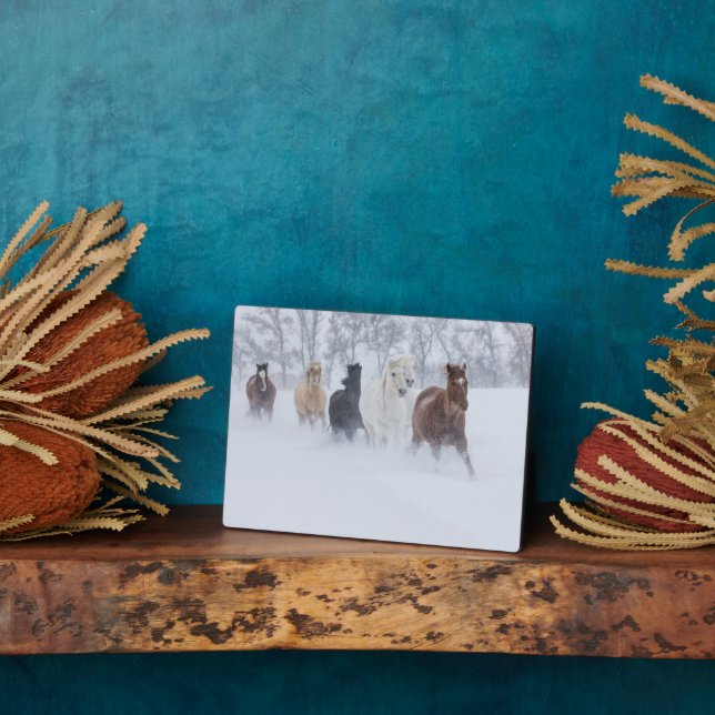 Horses Running Through the Snow Plaque (Side)