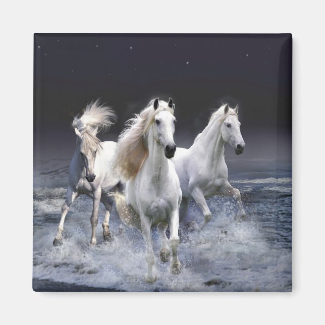 Horses running  throw pillow magnet (Front)