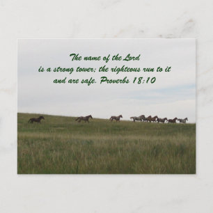 Horses running with scripture Post Card