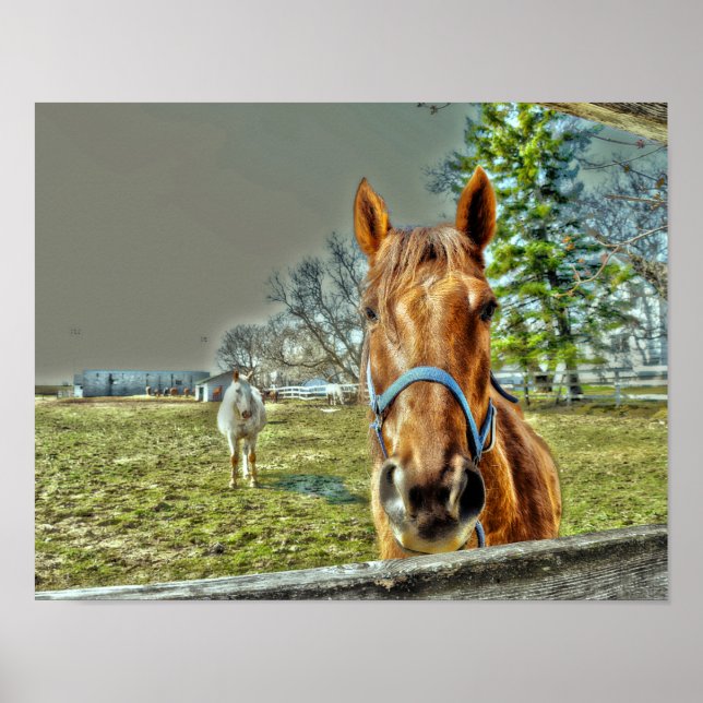 Horses Rustic Country Western Equestrian Farm Poster (Front)