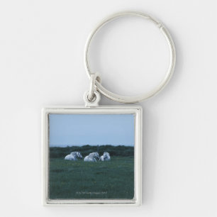 Horses sitting in field, Perci, Quebec, Canada Key Ring