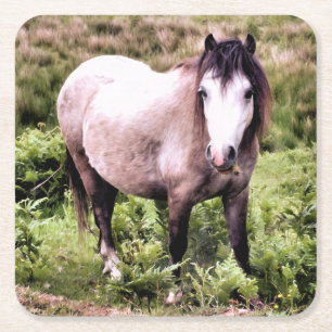 HORSES SQUARE PAPER COASTER
