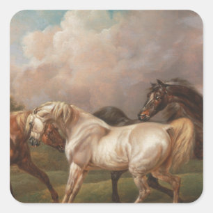  Horses  Square Sticker
