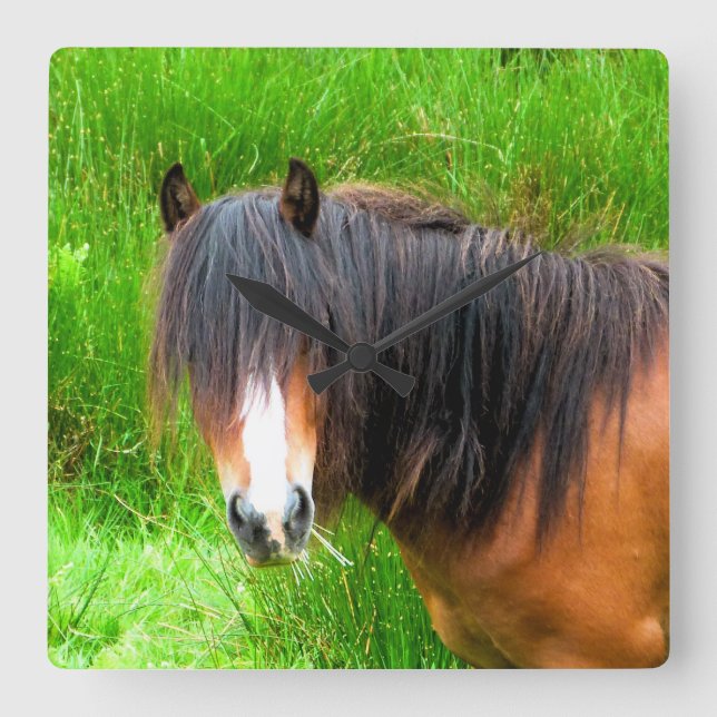 HORSES SQUARE WALL CLOCK (Front)