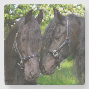 Horses Stone Coaster