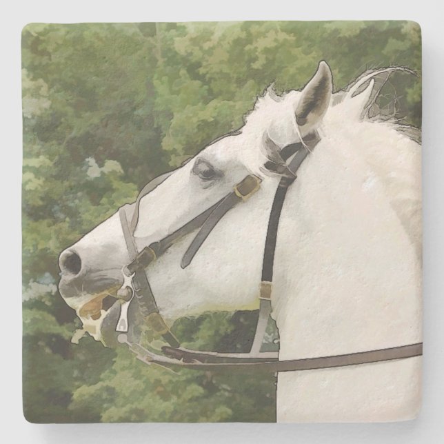 HORSES STONE COASTER (Front)