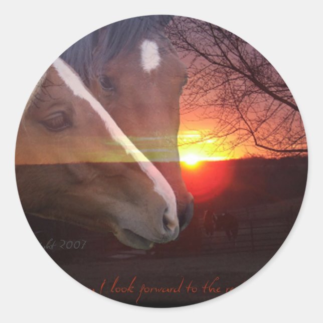 Horses Sunrise Classic Round Sticker (Front)