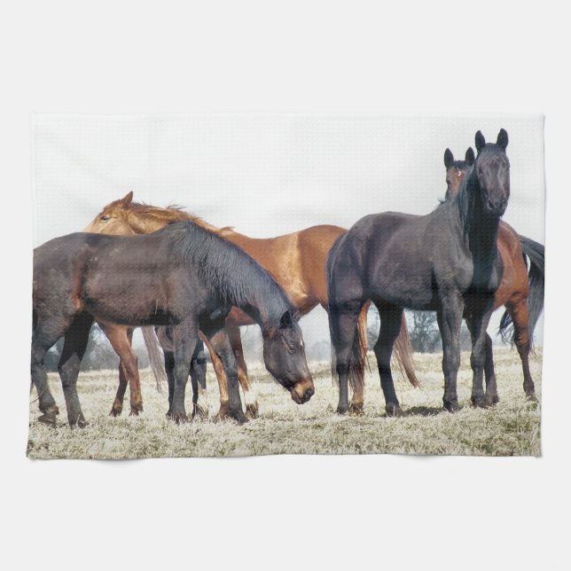 HORSES TEA TOWEL (Horizontal)