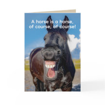 Horse's Teeth Dental Surgery Folded Greeting Card