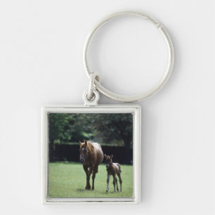 Horses - Thoroughbred, Mare And Foal, Key Ring