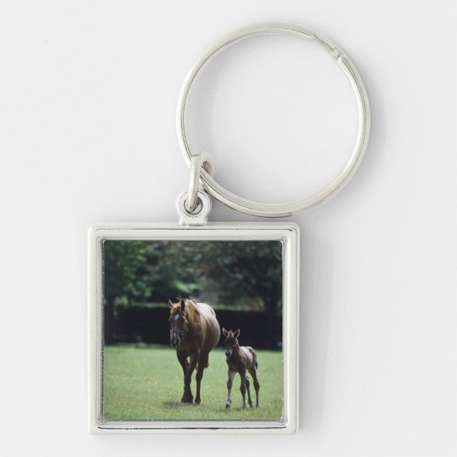 Horses - Thoroughbred, Mare And Foal, Key Ring (Front)