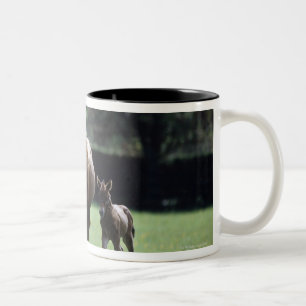 Horses - Thoroughbred, Mare And Foal, Two-Tone Coffee Mug