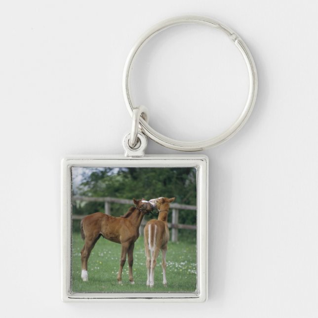 Horses - Thoroughbreds, Foals, Key Ring (Front)