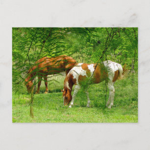 Horses Thru Leaves Custom Postcard Template