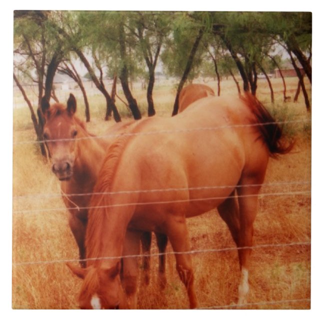 Horses Tile (Front)