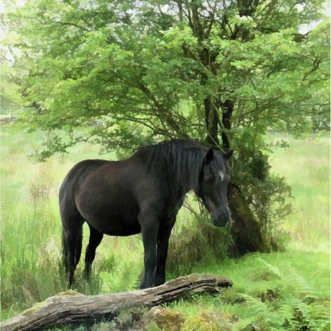 HORSES TILE (A beautiful black mare resting in the shade of the tree.)