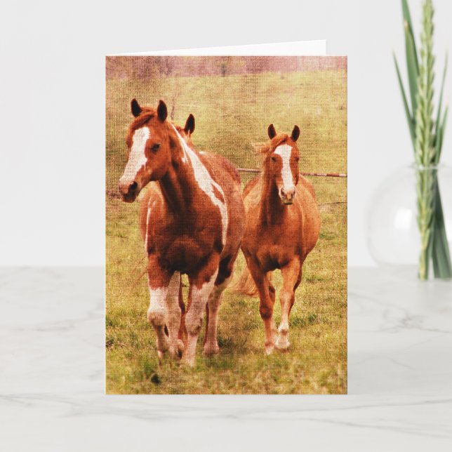 Horses Trotting All Occasions  Card (Front)