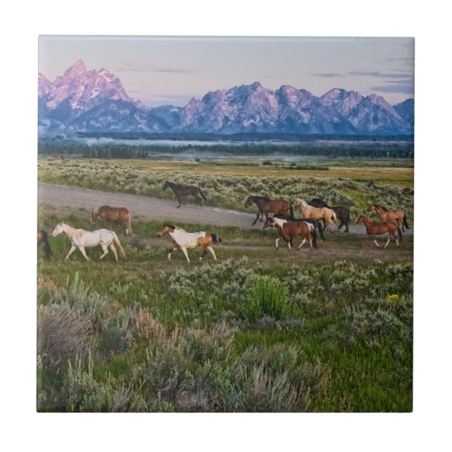 Horses Walk Ceramic Tile (Front)