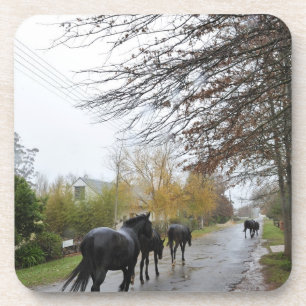 Horses walking down Oak Street in rain, Greyton, Coaster