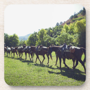 Horses walking in a line coaster