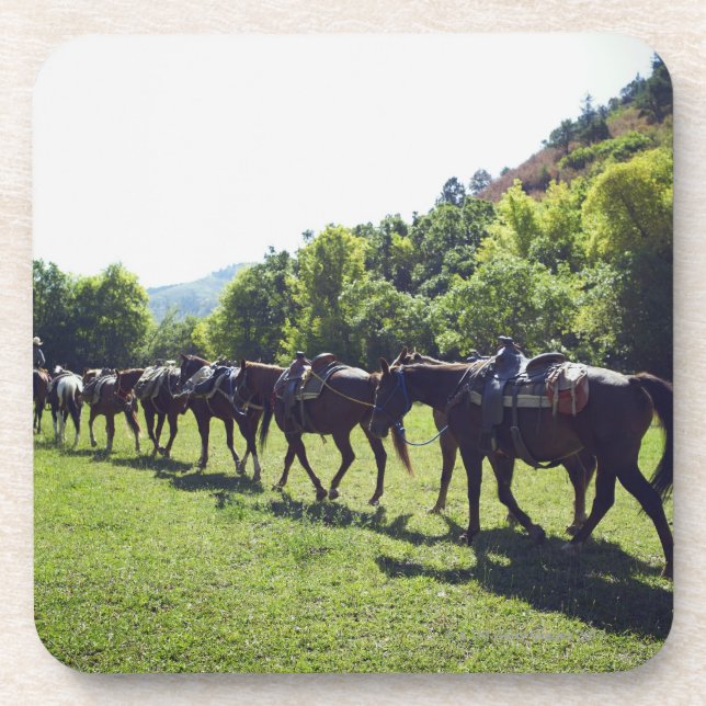 Horses walking in a line coaster (Front)