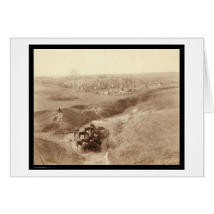 Horses Watering at White Clay Creek SD 1891