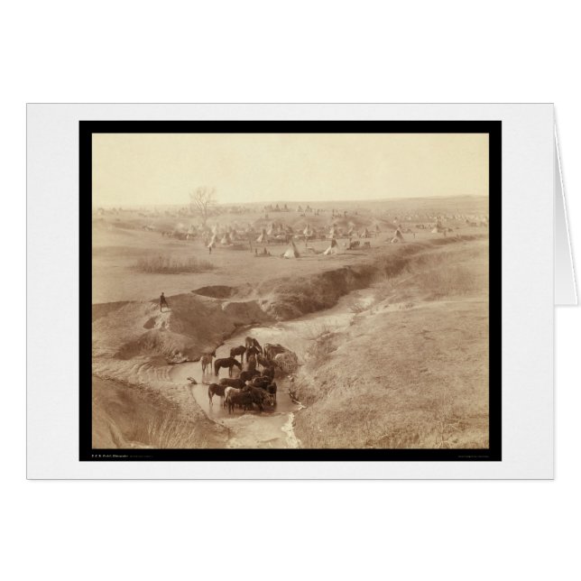 Horses Watering at White Clay Creek SD 1891 (Front Horizontal)