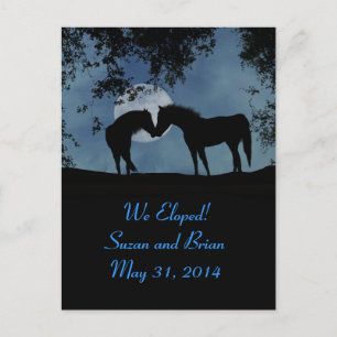 Horses, We Eloped Announcement Postcards! Postcard