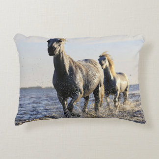 horses wet decorative cushion