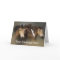Horses Wild Trio Greeting Card