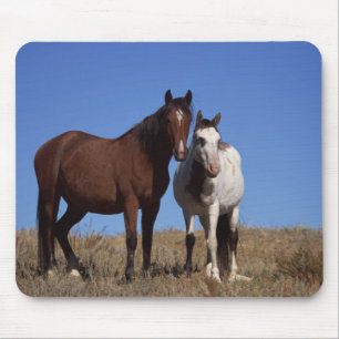 Horses with Sky Background Mouse Pad