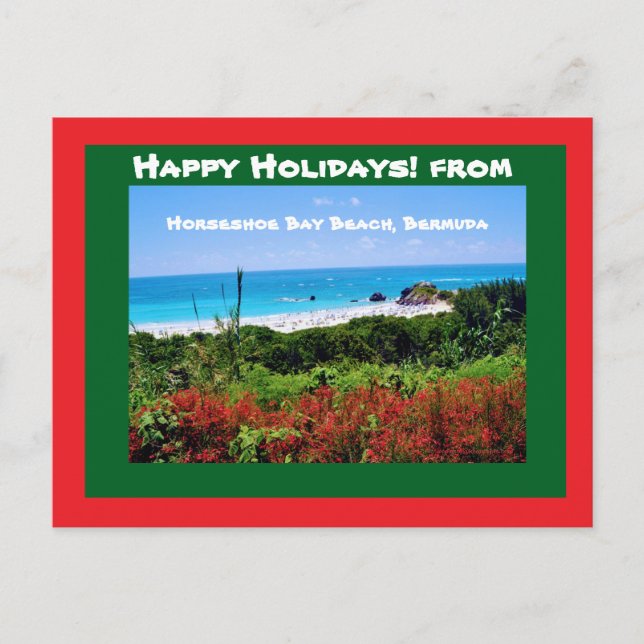 Horseshoe Bay Beach, Bermuda Postcard (Front)