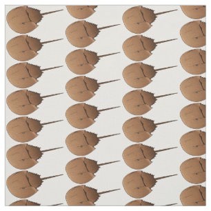 Horseshoe crab cartoon illustration fabric
